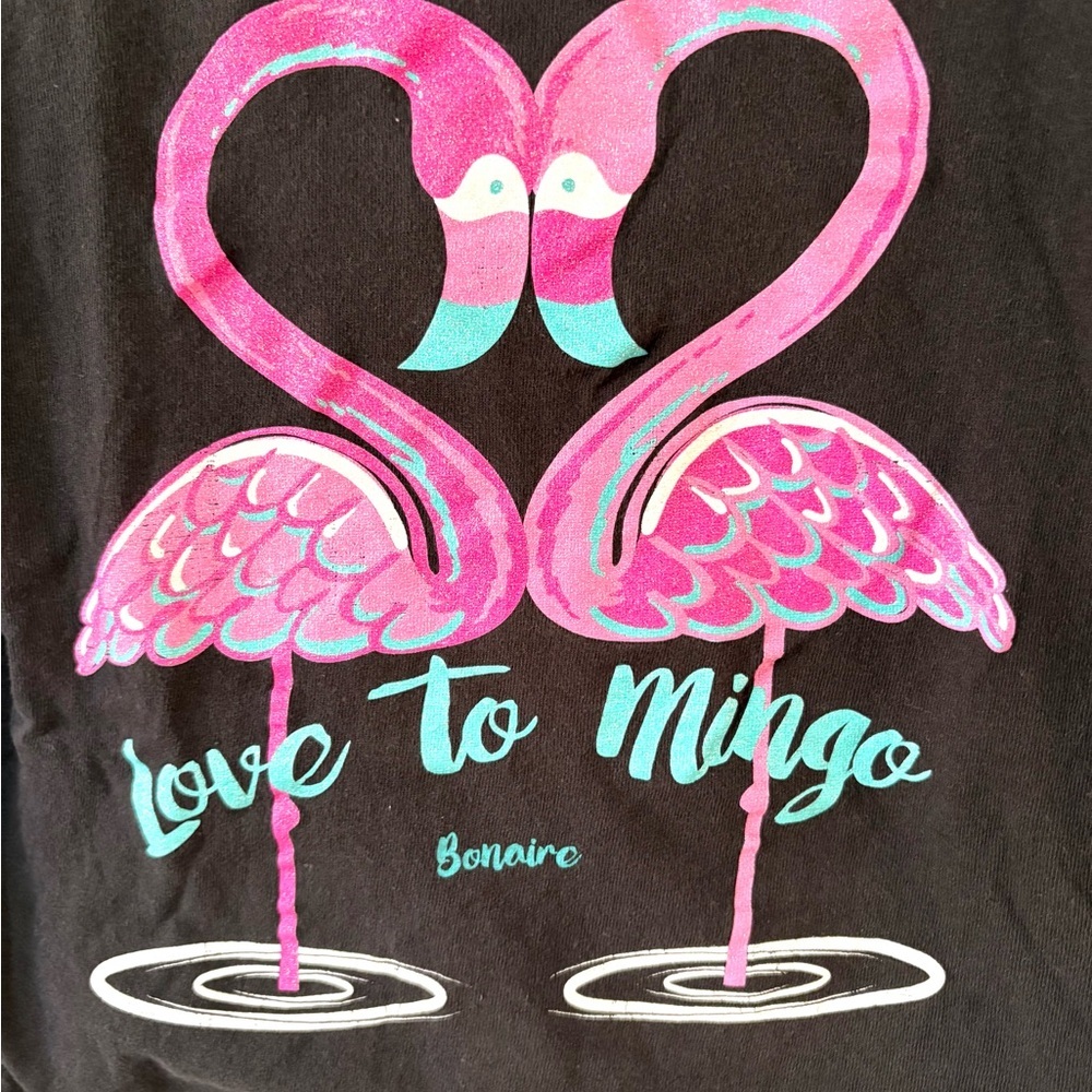Delta Pro Weight Youth Black “Love to Mingo” Flamingo Graphic Tee Size Small - Picture 2 of 5